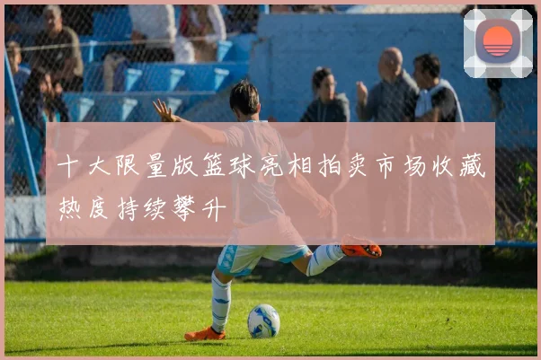 十大限量版篮球亮相拍卖市场收藏热度持续攀升