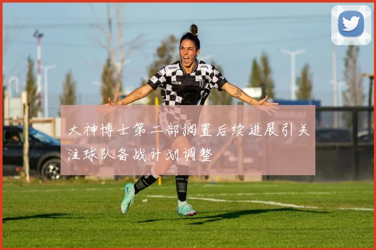 大神博士第二部搁置后续进展引关注球队备战计划调整