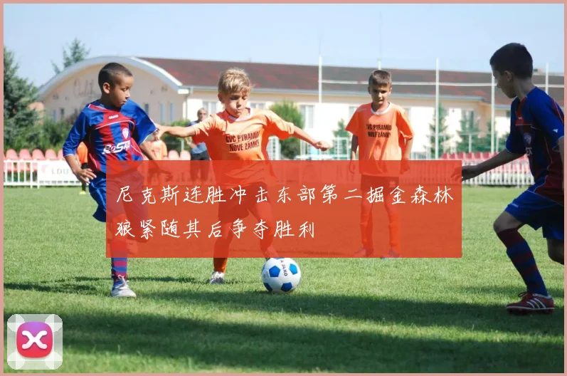尼克斯连胜冲击东部第二掘金森林狼紧随其后争夺胜利