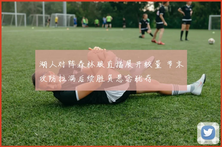 湖人对阵森林狼直播展开较量 节末攻防拉满后续胜负悬念犹存